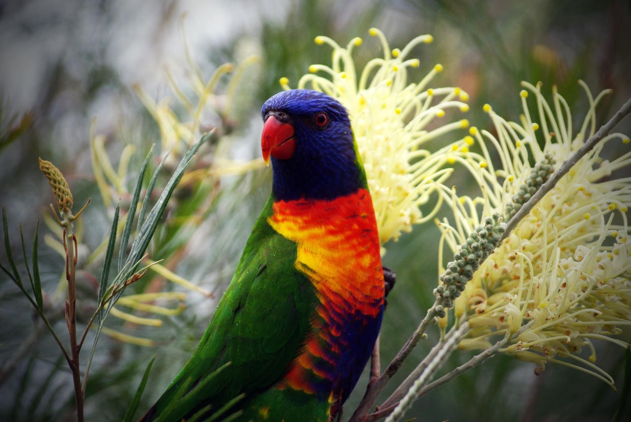 Connect Coaches Garden Tours Image -62b991fe750b5